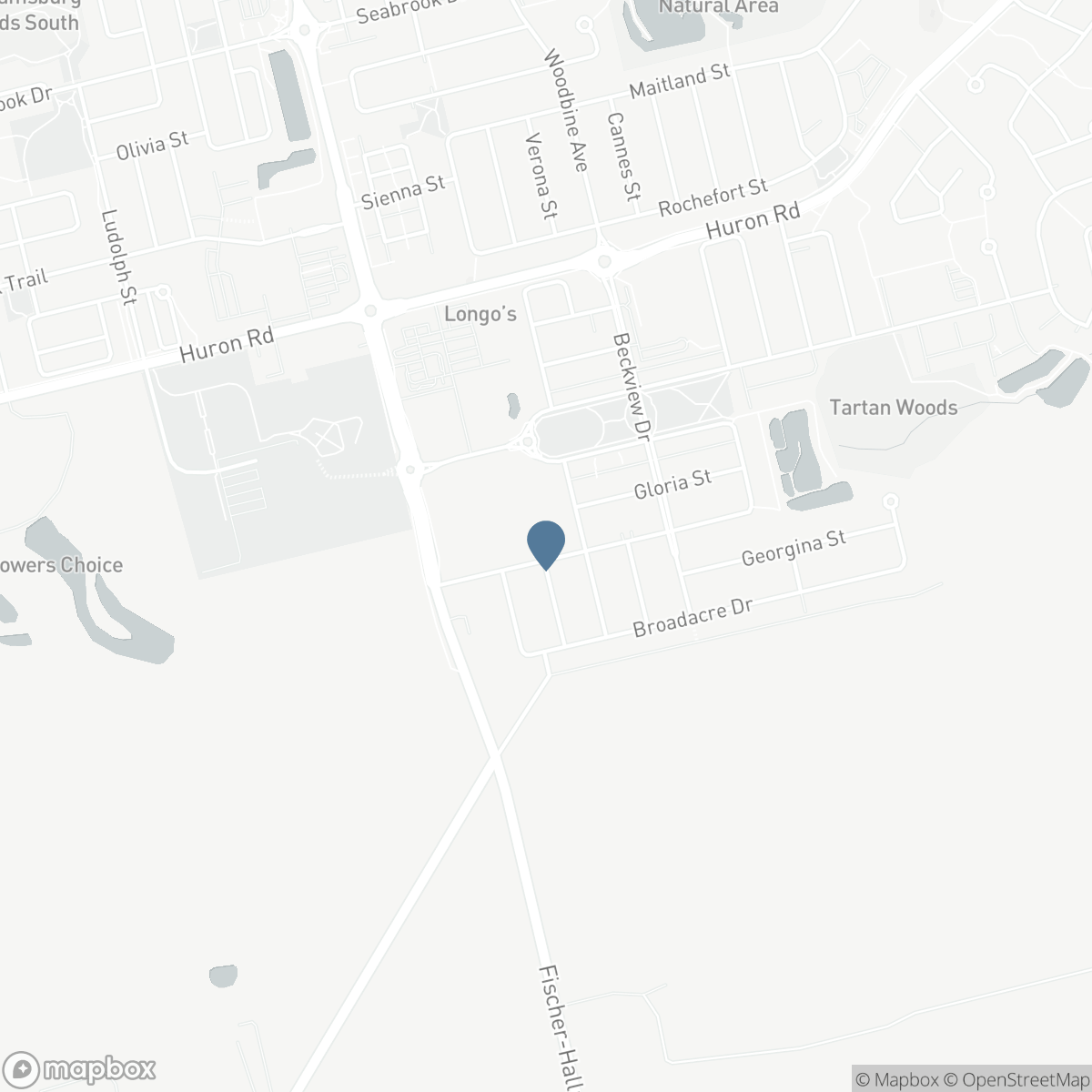 106 HALDIMAND Street, Kitchener, Ontario N2R 0R2